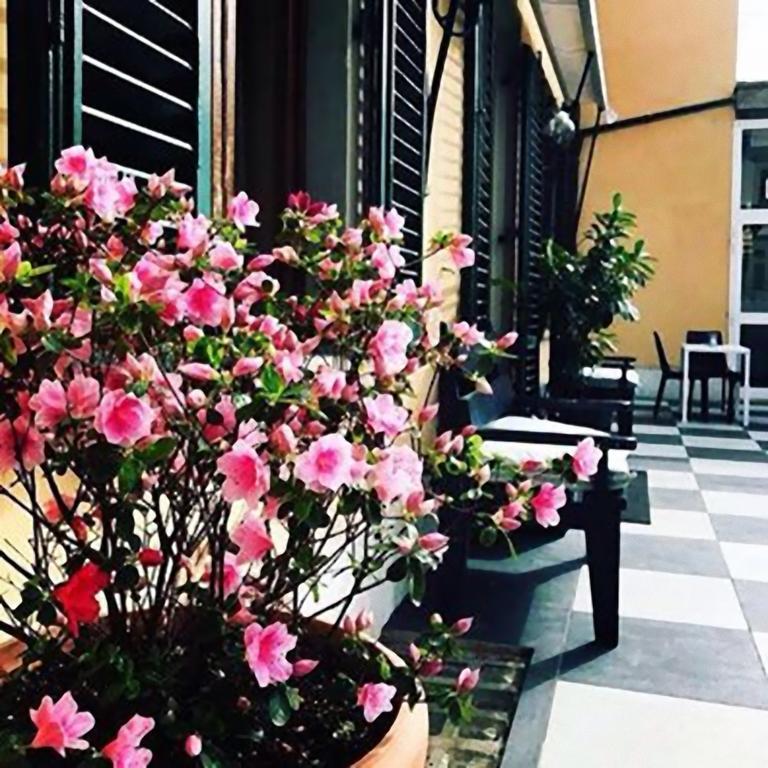 Hotel Butterfly 蒙特卡蒂尼泰尔梅 外观 照片
